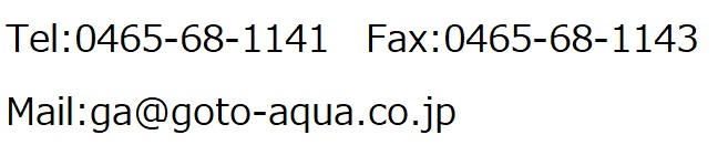 連絡先