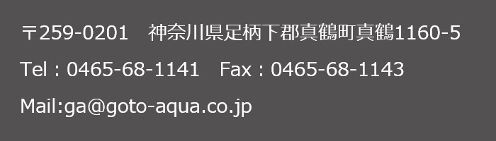 お問い合わせ先